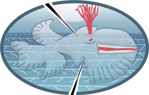 Item #24333615194759565432954318227469908688353050558256699487965883842445185122305 Media