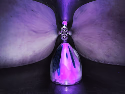 Item #67457553150443021914092587022250176347061355639032054621716075923382770597889 Media