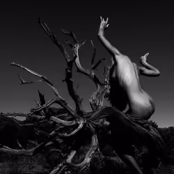 Dance of Branches - Redeemable Fine Art Nude Photo