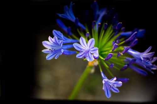 Item #115476091633177707548467332861513074222465969616000108697223131094711825072129 Media