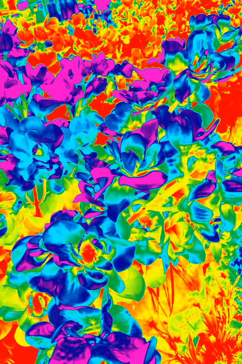 Item #10162537437224382031479019658551907585229278444242708151782220112095116001281 Media