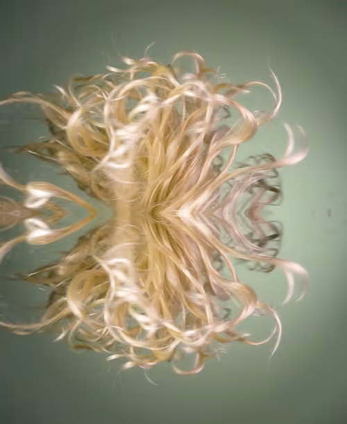 Item #8906572443787002997566689764947782042971868840218256539053663435944806580225 Media