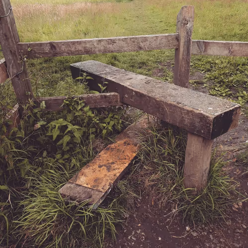 Item #105237010342582609876748436582366170093723610565651913513256945294079961333761 Media