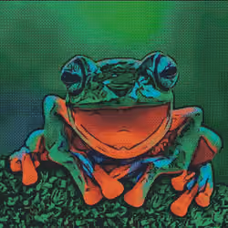 fROG fam #14