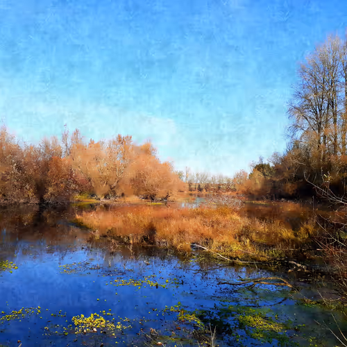 Item #59781095411534189508754005872723373463038721670588469688932600023088732569601 Media