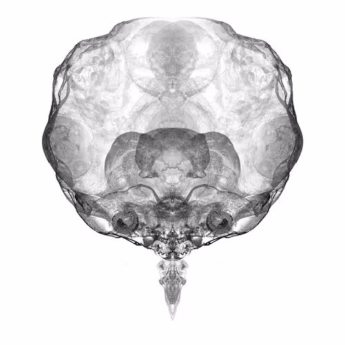 Alien Embryo - 136 of 2000