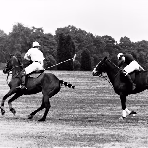 103869953884735727563221393256320645863605690120870363676987596932387635724289