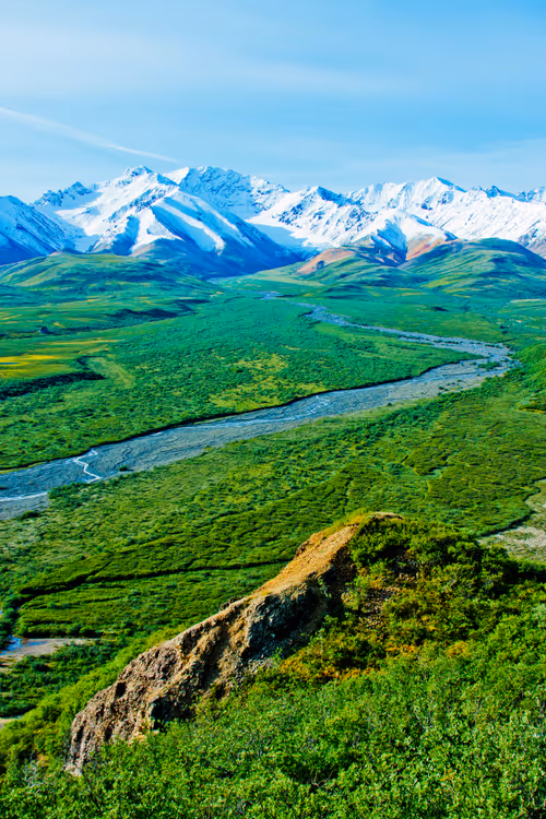 Item #888198070620530782295992843188489433267157345827485471243103219358925586433 Media