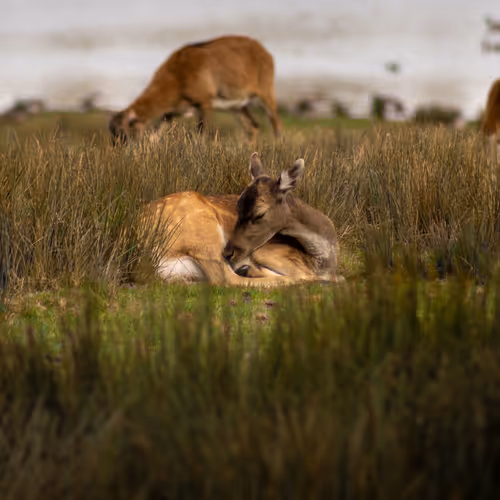 Untitled Collection #240354716