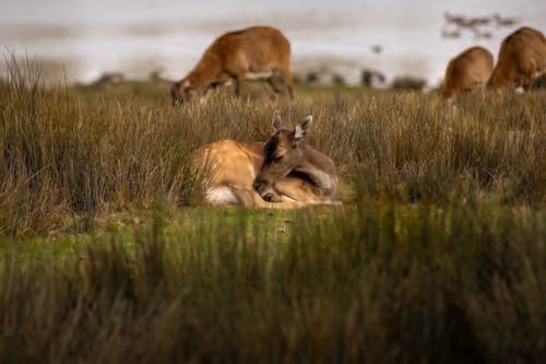 Item #88243945429159457214551786699008255546471651162294873782278476637273600294913 Media