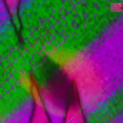 Item #90620065648373492361643371258411398171299878378245602300281469786646313435137 Media