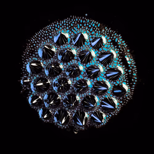 Item #6536742191884206912575663598984880054315379406165865333139133965473792655361 Media