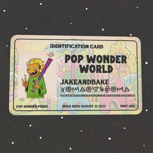 Pop Wonder World Identification Card // JakeAndBake // Mint #54