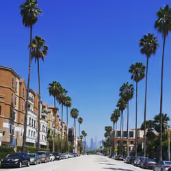Street views