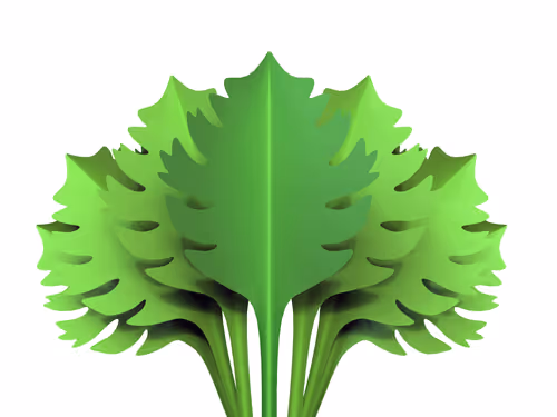 Item #57105762378202869450558961711539827991944885961407492991895323519195268775937 Media