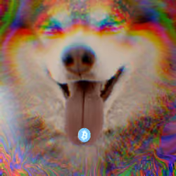 Bitcoin Trip