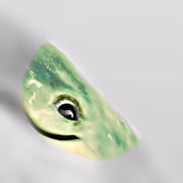 Untitled Collection #12834577