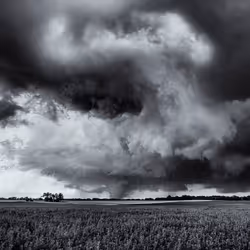 Horizontal Vorticity