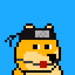 Dooggie #2836