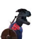 6000812222489733037810716276475824077366027843255417483843569359589352669185