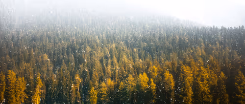 Item #100125324817140700473098673733568876555088890877521994710768706076001305624577 Media