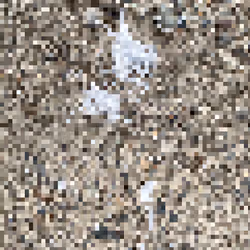 2850415134272365380187775685678842410458265265709128331682257480987002798081