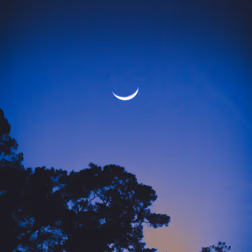 A Journey To The Moon