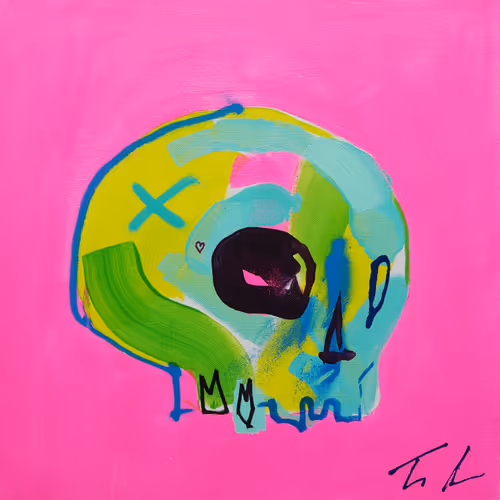 Memento Mori 100 Skulls By Tim Fowler