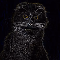 Cat in Dark #2