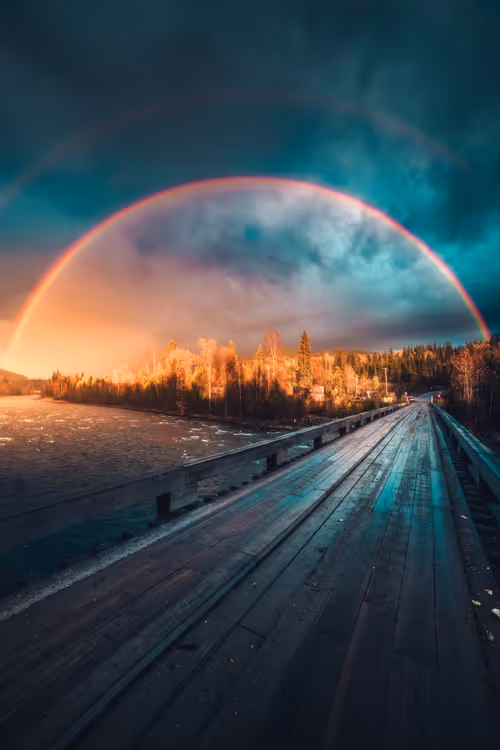 Item #62546128571173573861370652936856218284243546780344801453551937487131618836481 Media