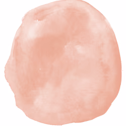 Rainbow Kombucha SCOBY - Strawberry 