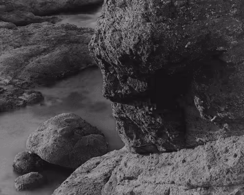 simo4 Collection - old