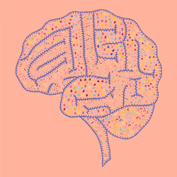 28824502245252267217549902857601847351510039266873569823091148318459062910977