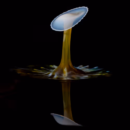 50dropsofwater