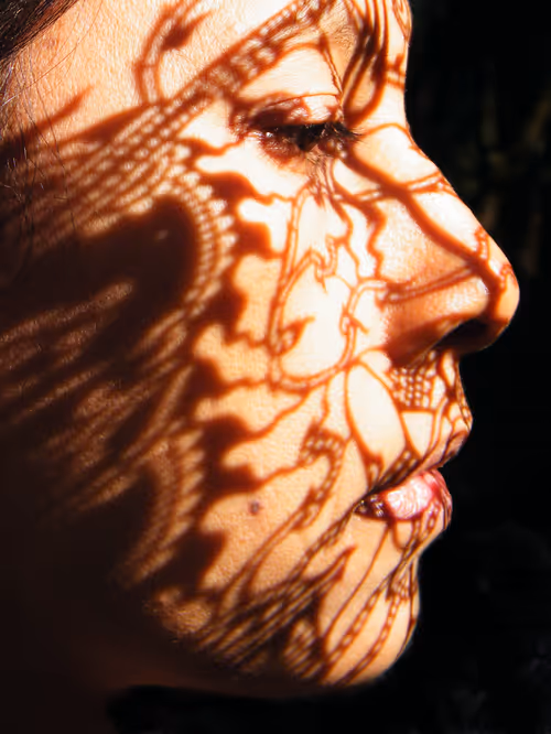 Item #25647283526560934963295738153265676028298763489837943473260237643602024464387 Media