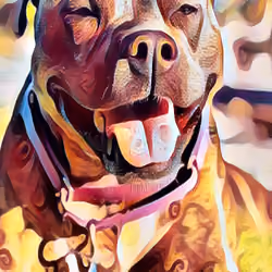 tipcoins PitBull 