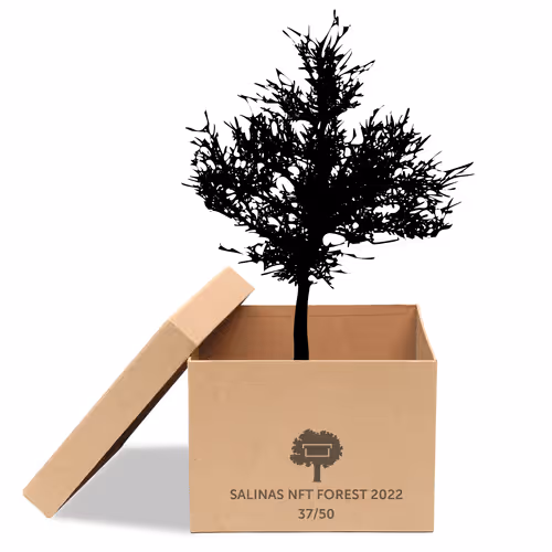 Item #63532776318757439562276927313719991273687356279339277108967620964029233627137 Media