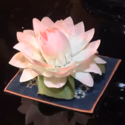 Lotus flower #001