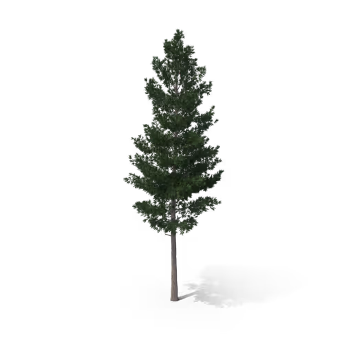 Item #36557224033069565400419298715916611442711242076290286007895566339305472262145 Media