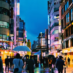 Colorful Night