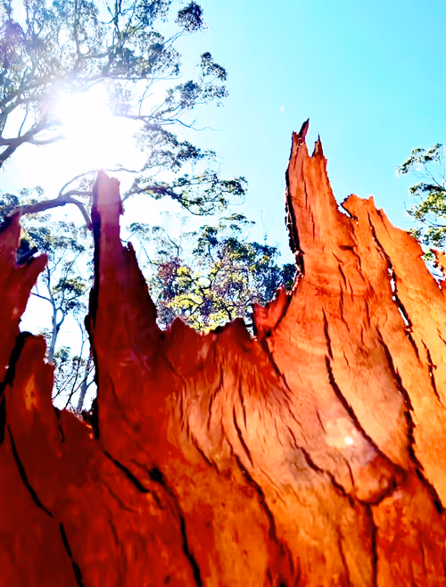 Item #19706736647229879656822454132754720829342414100240411727761359014599164166145 Media