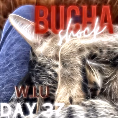 Item #39423832963151627607691891064013214374554670685362285359898062745890524758017 Media