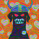 29226197204897470459551897583293903798915514615625883342092885468324594450433