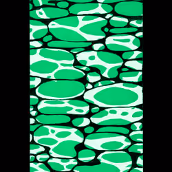 W008