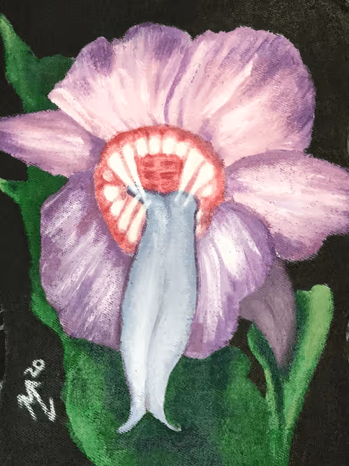 Item #76750421696450728554422048692154595361078139466942038667868862028898614902785 Media