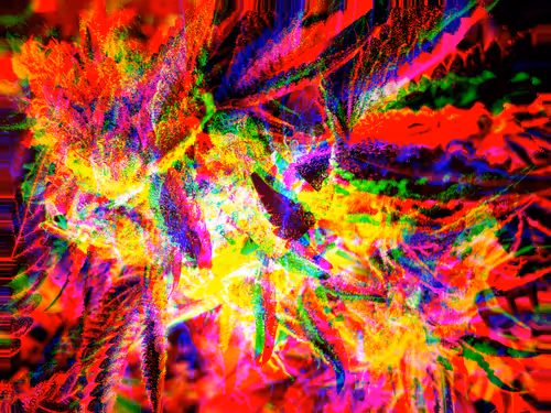 Item #83970981387443879143921485150900069530799783516997234463864977539185355259905 Media