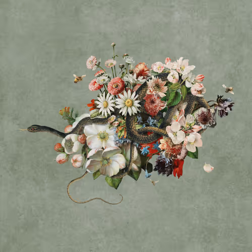 Item #19059656102330521028979974538211481296482323844077477318954795419249762369537 Media