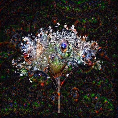 Dreem 009