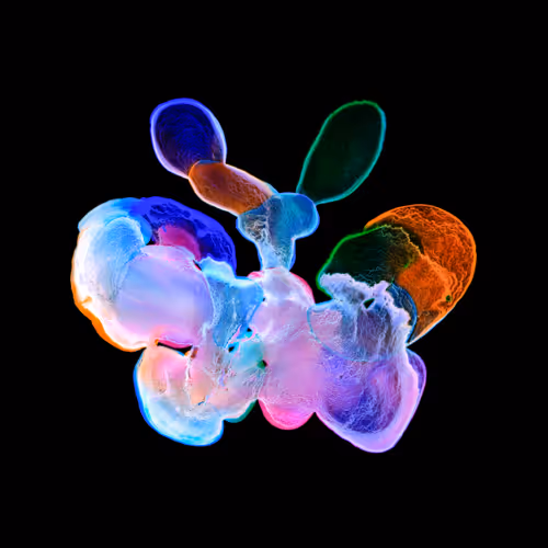 Item #21241348295233725123048088412056156901328443234644052459911106384348504391681 Media