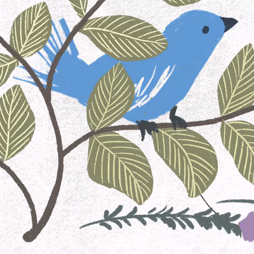 Item #56898952014518654300102404672114499914109688512494752998572573701474065842177 Media